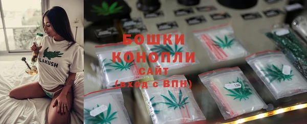 шишки Краснотурьинск