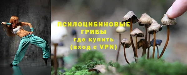 шишки Краснотурьинск