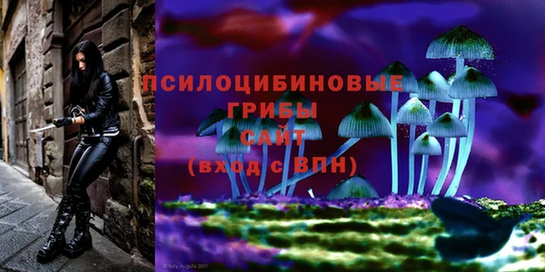 твердый Красноперекопск