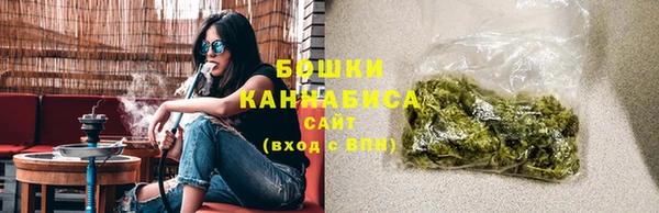 шишки Краснотурьинск