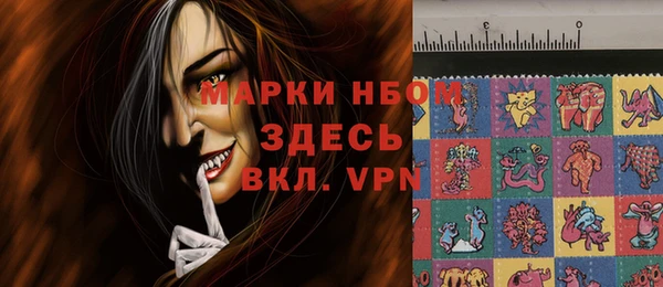 шишки Краснотурьинск