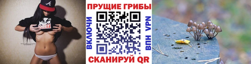 Псилоцибиновые грибы прущие грибы закладки Кущёвская